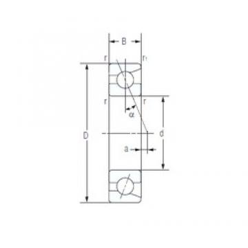 45 mm x 75 mm x 16 mm  NACHI 7009C Rolamentos de esferas de contacto angulares lubrificados com óleo de ar ecológico